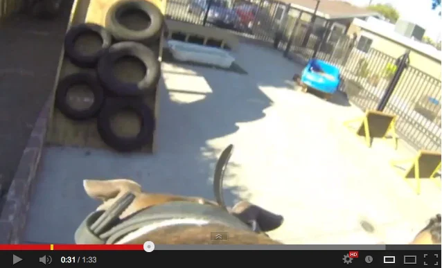 GoPro Video: Quick Tour of Our Agility Course by Bear [Bonus Video]