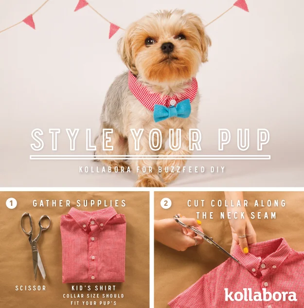 10 DIY Ways To Spoil Your Dog
