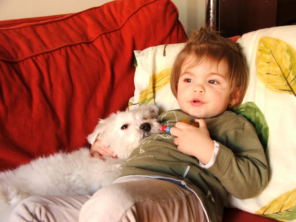 Dogs & Babies.. Doesn't Get much Better