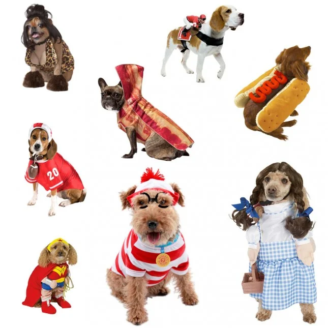25 Dog Costumes That Will Make You LOL
