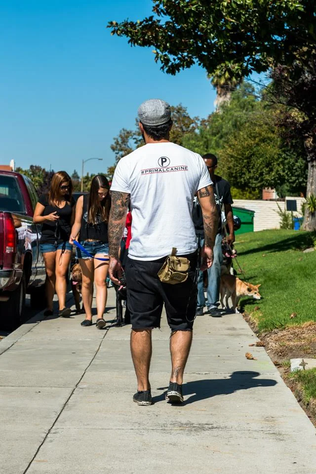 Primal Canine Class Photos From 10/05