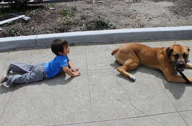 6 Reasons You Need A Puppy 