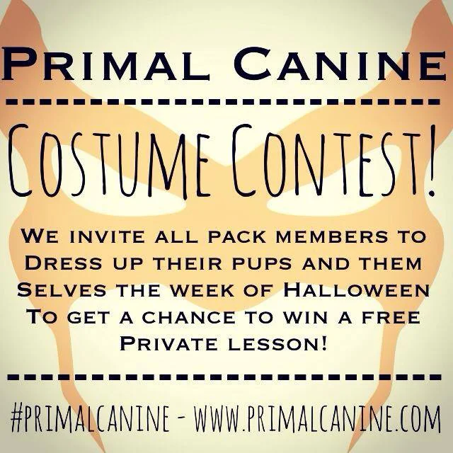 Primal Canine Costume Contest!!! 