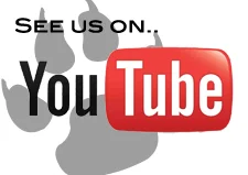 Need Some Quick Training Tips?