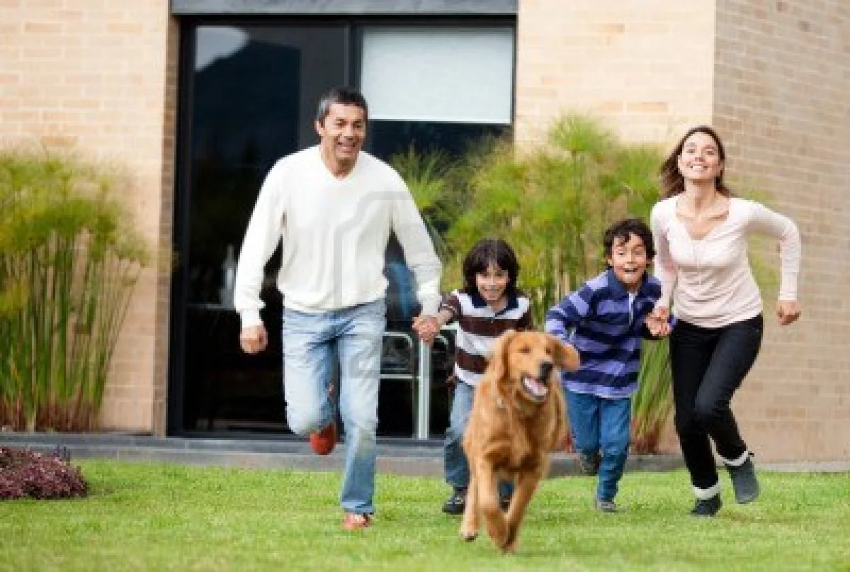 A Little Bit About Cat & Dog People 