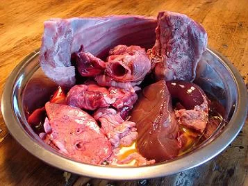 How to choose the best bowl for your dog's breed #primalcanine #dogtips