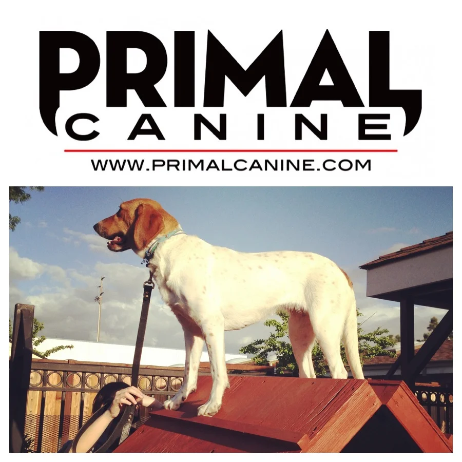 hazel-primal-canine-thumb.jpg
