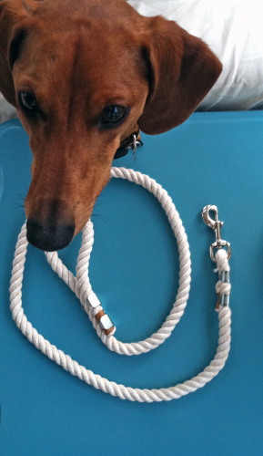 designer rope leash primal canine dog training