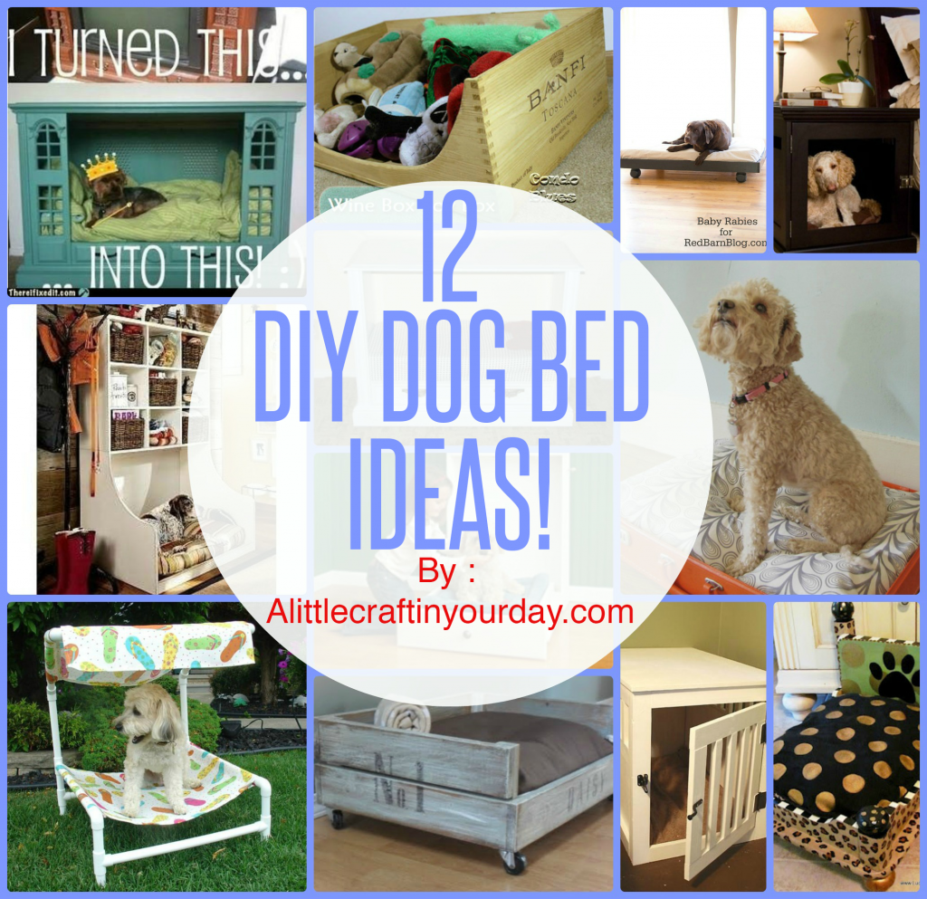 diy dog beds primal canine bay area dog training