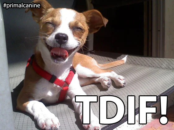 tdif-primal-canine-bay-area-dog-training.jpg