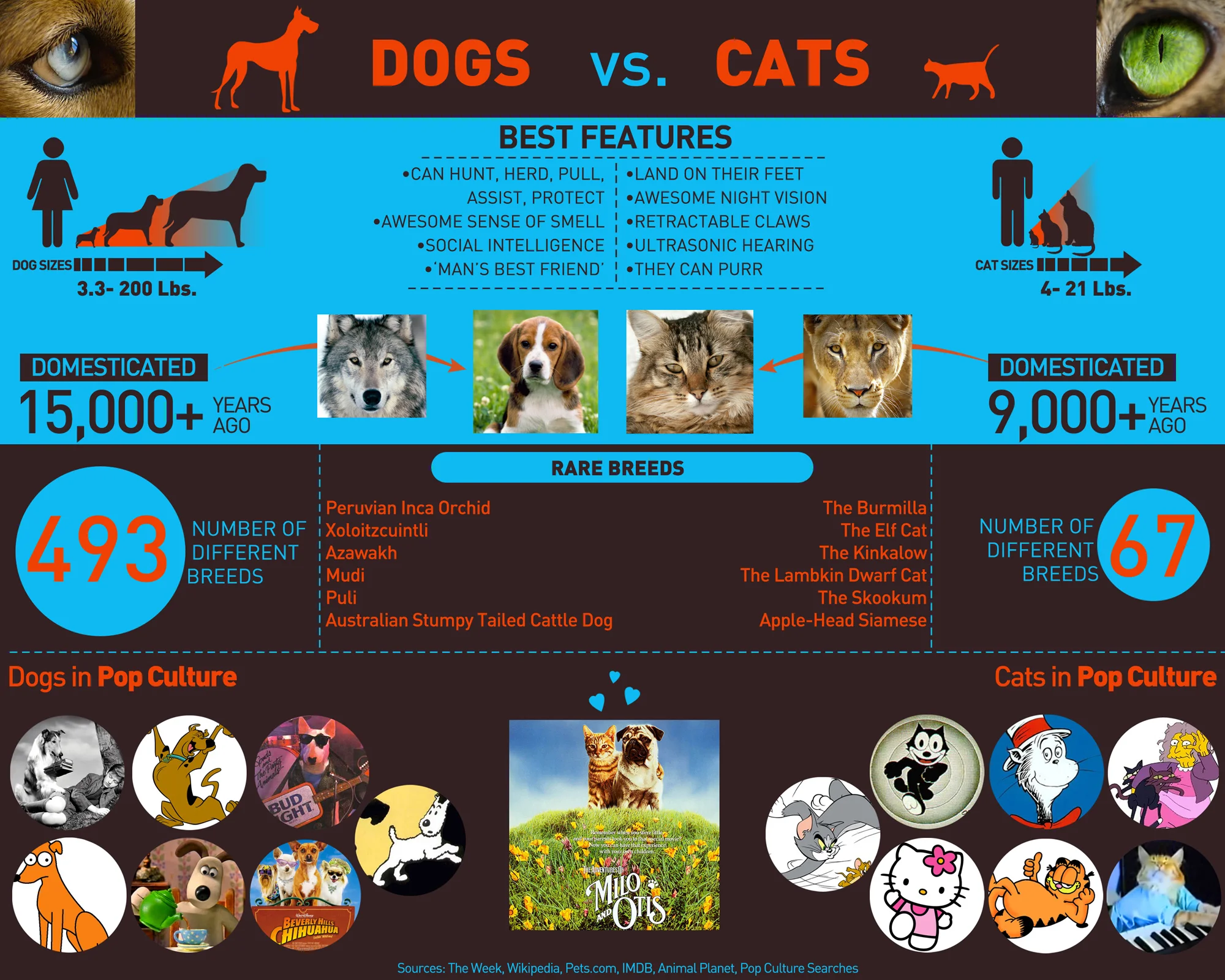 DOGS VS. CATS