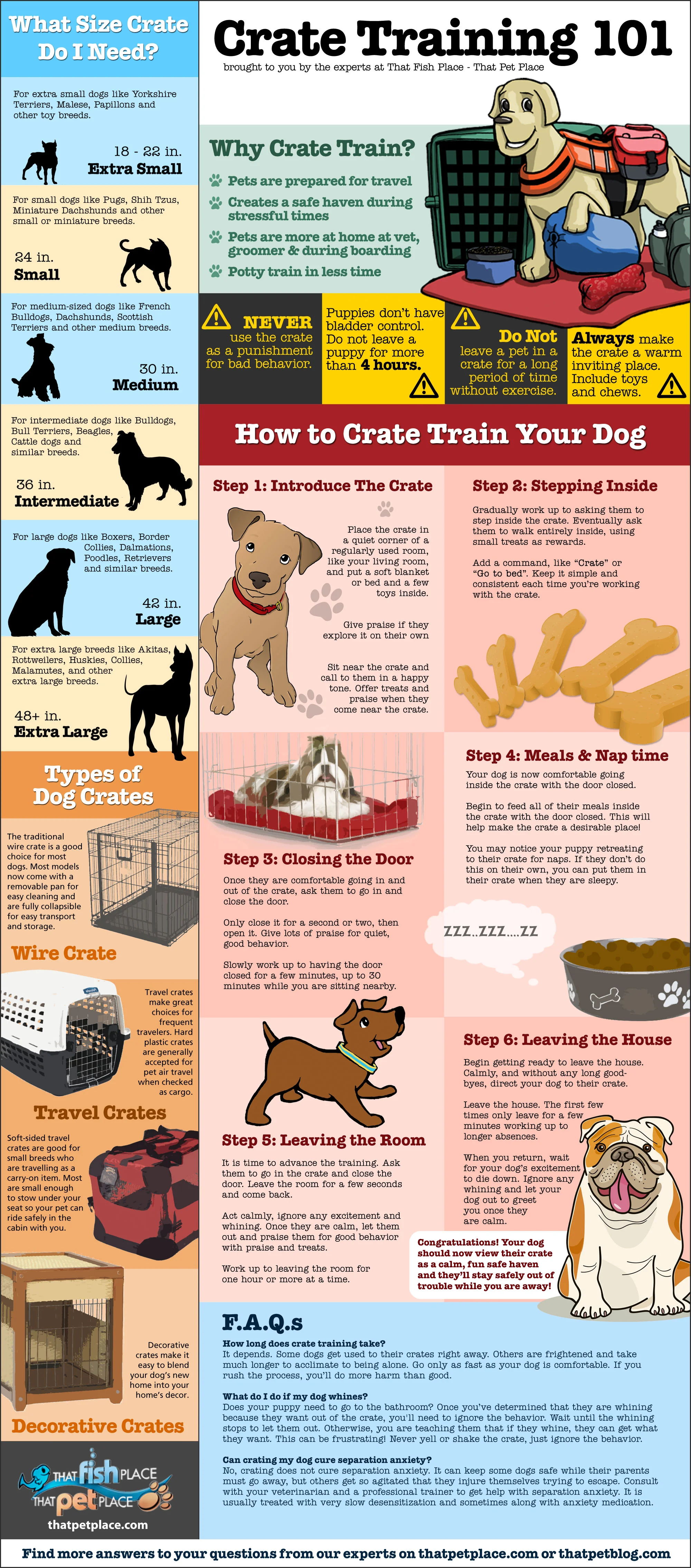 Crate Training 101 The Infographic