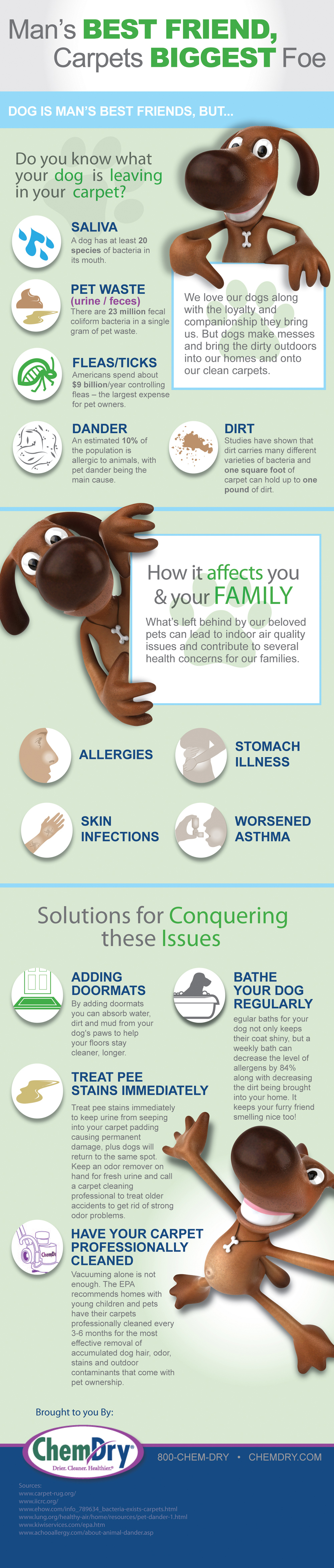 Man's Best Friend, Carpets Biggest Foe