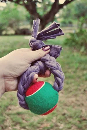 How to Make Eco-Friendly Dog Toys from Old Jeans & Tees | DIY Project