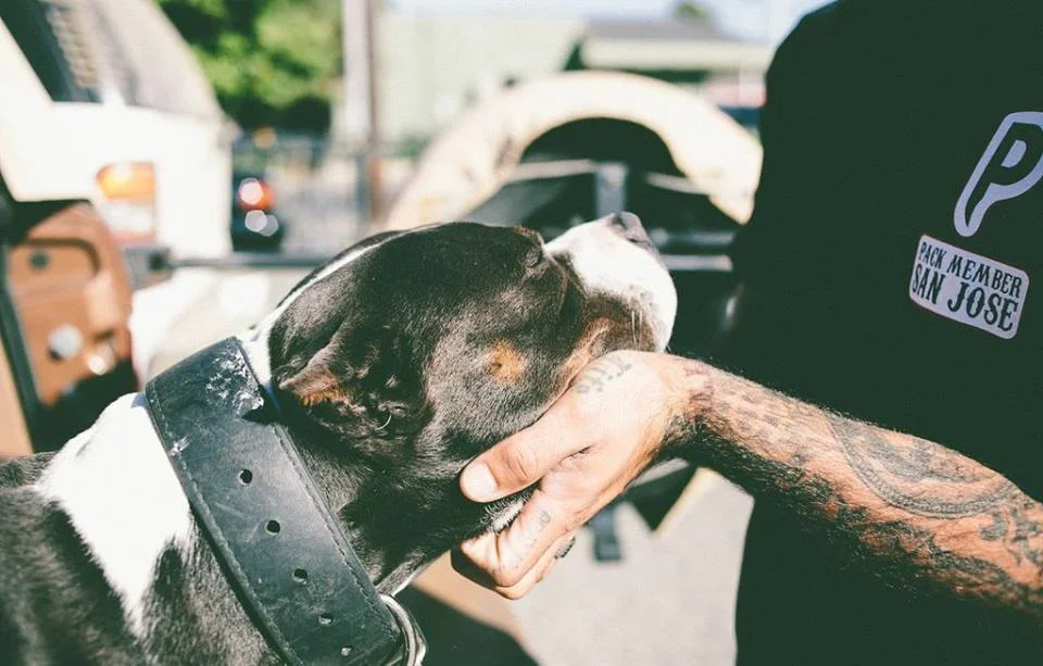 Quick Training Tips: Creating Engagement