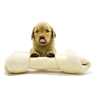 Food & Treats That Maybe Harming Your Dog