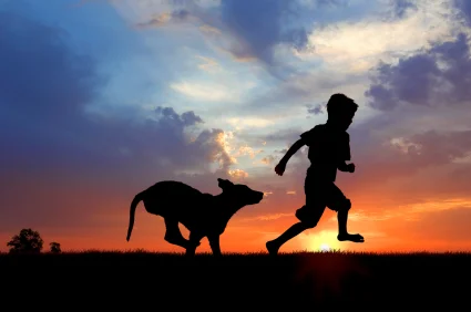22 Ways Dogs Make Humans Healthier 