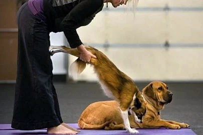 "Getting Down with Doga" 