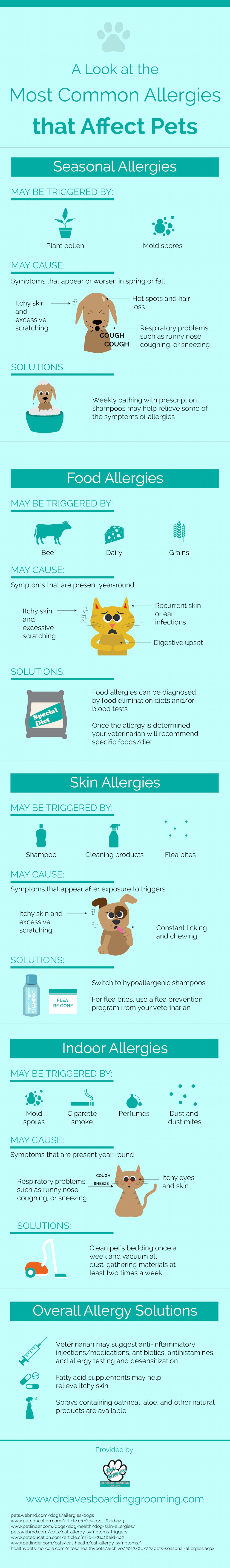 a-look-at-the-most-common-allergies-that-affect-pets_5585d464198d3.png