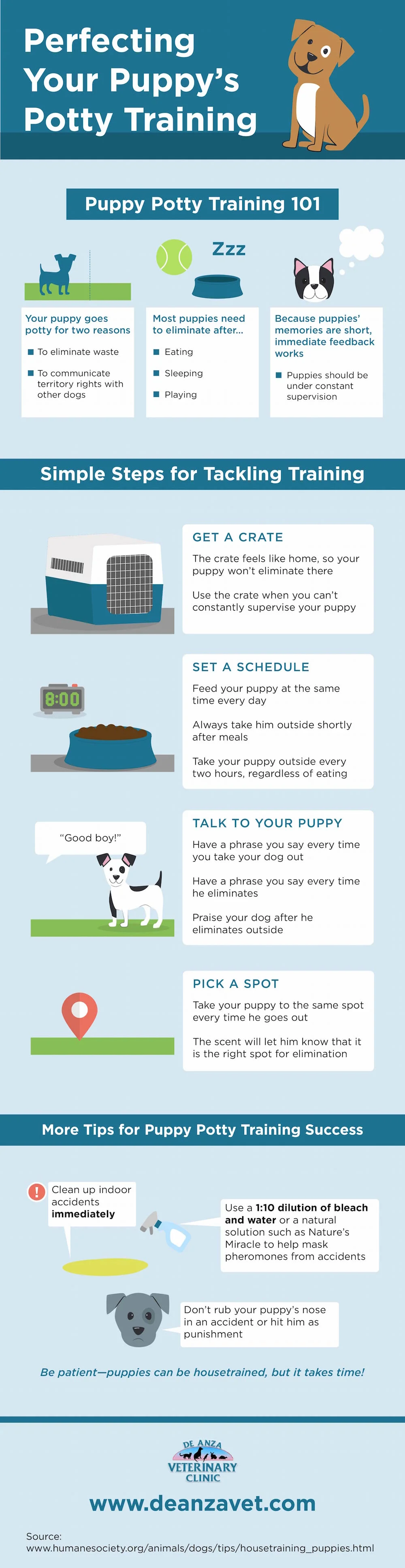 perfecting-your-puppys-potty-training_55d74ccc0b579.jpg