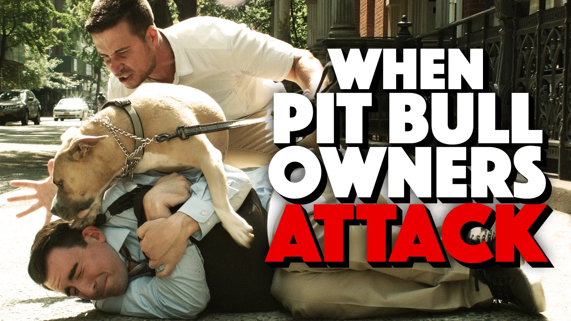 How to Defend Yourself Against a Pit Bull Owner Attack [LOL]