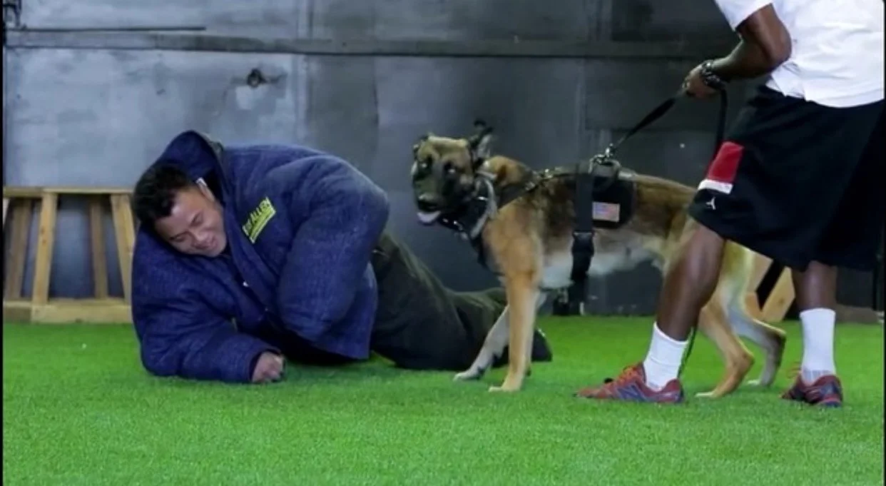 #ThrowbackThursday MMA Legend Cung Le VS. Primal Canine's Protection K9's