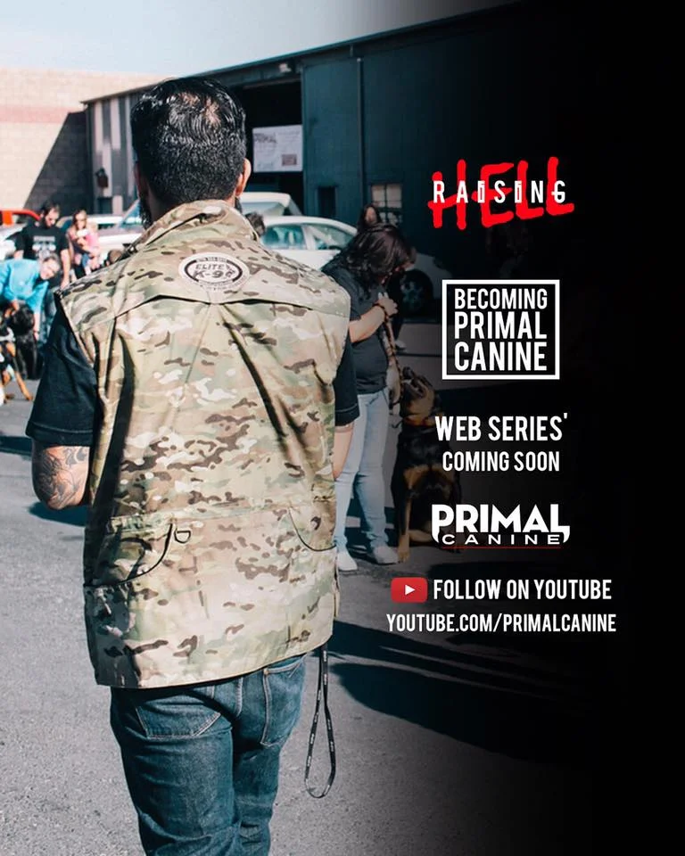 New Episodes Up Now!!