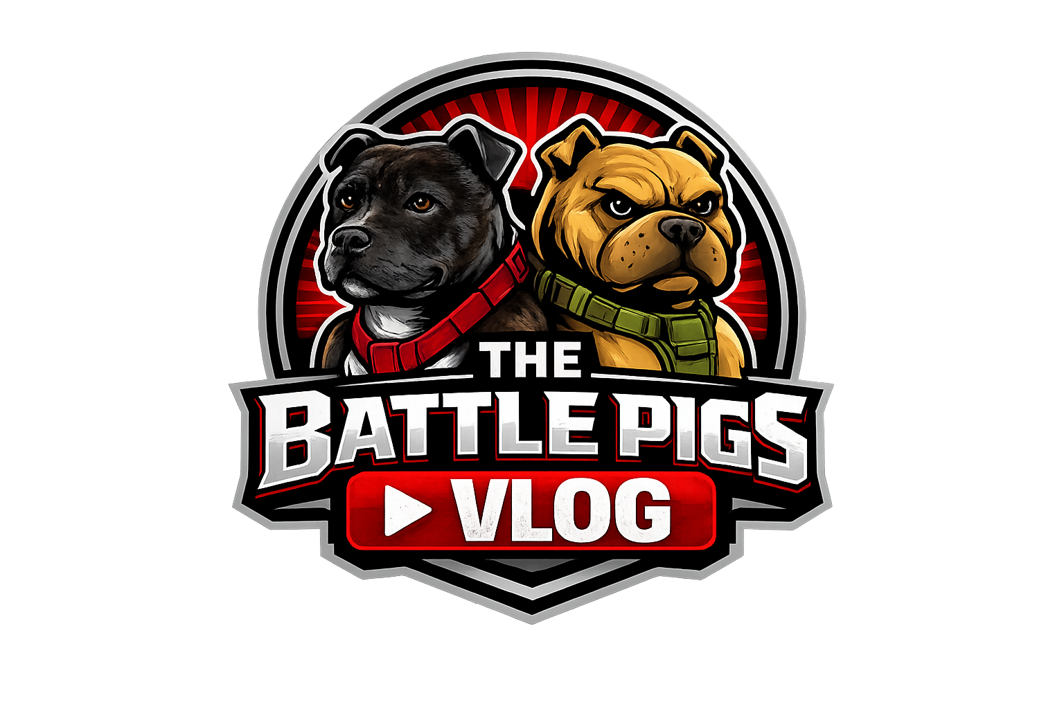 Battle Pigs: Training, Structure, and Life with High-Drive Dogs