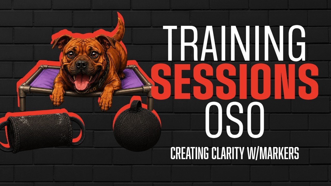 Marker Training for Dogs: Building Clear Communication Under Drive (Oso Training Session)