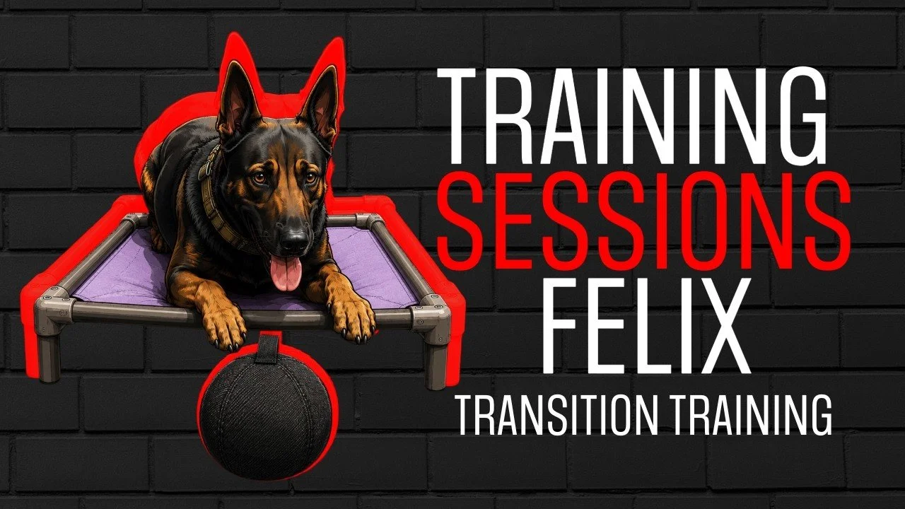 From Decoy to Handler: Transitioning a High Drive Dog into a Thinking Partner