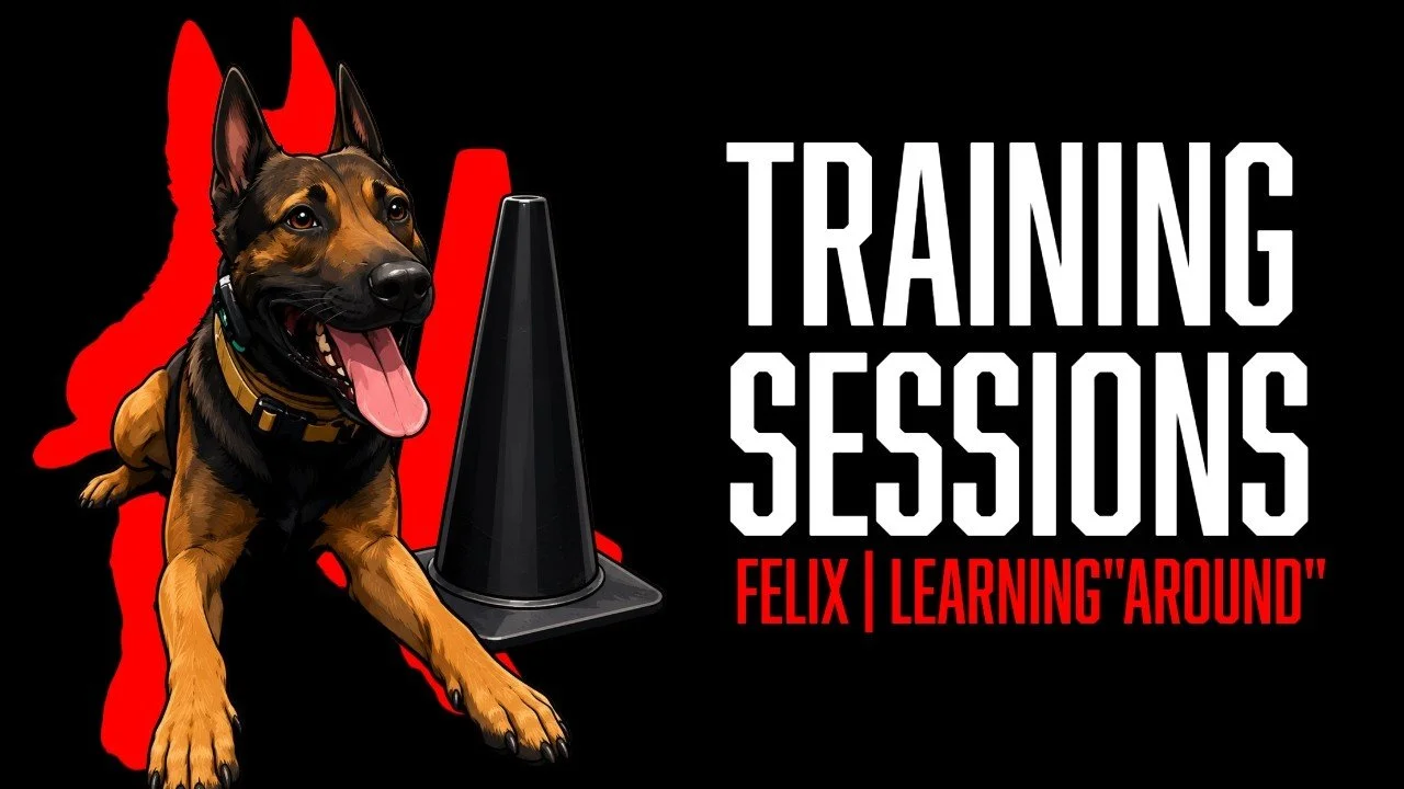 Building Impulse Control Under Drive With Felix