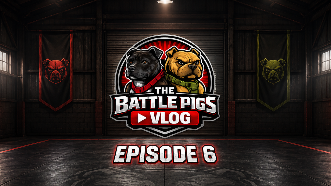 Battle Pigs Episode 6: Ivy Takes the Lead While Oso &amp; Mecha Put in Work
