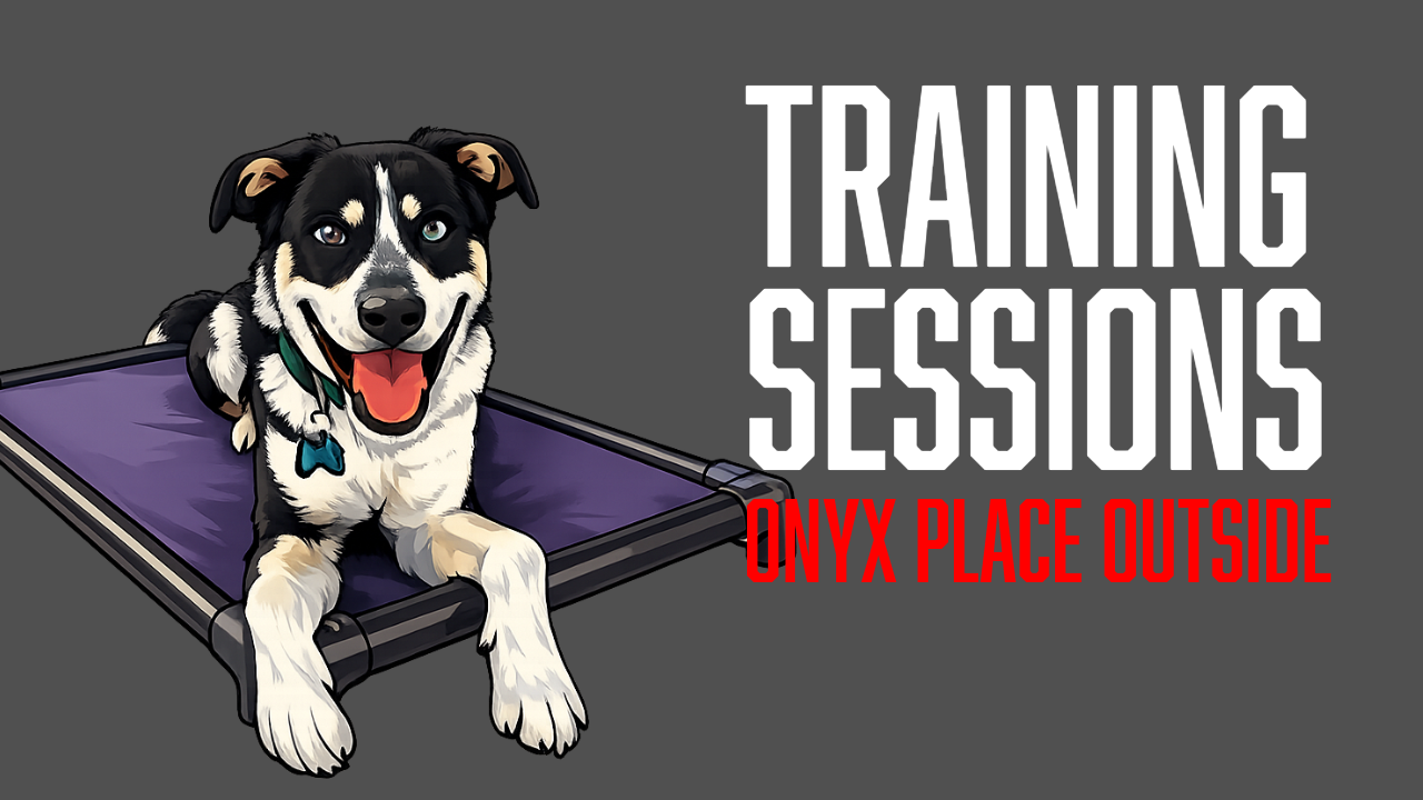 Training Sessions: Teaching Onyx to Relax on Place Outside