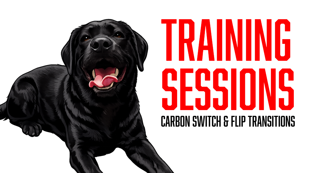 Teaching Advanced Position Changes: Carbon Learns Switch and Flip Commands