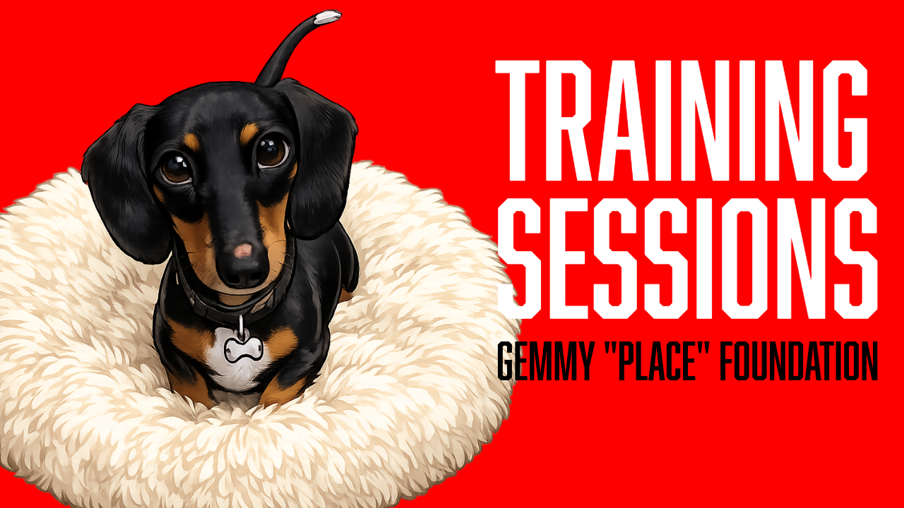 Board and Train Puppy Training: Teaching a Place Command Through Shaping with Gemmy