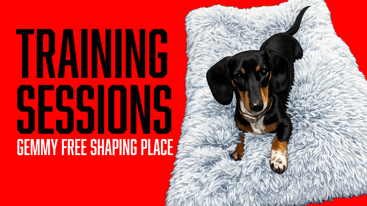 Teaching the Place Command Through Free Shaping | Board &amp; Train Gemmy