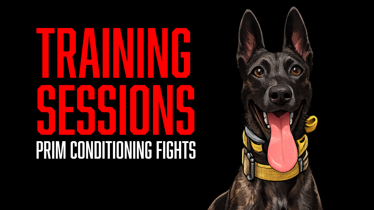 Protection Dog Conditioning Fights | Building Stronger Grips with Raise &amp; Train Prim