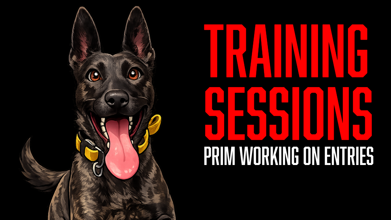 Building Powerful Bite Entries in Protection Dog Training