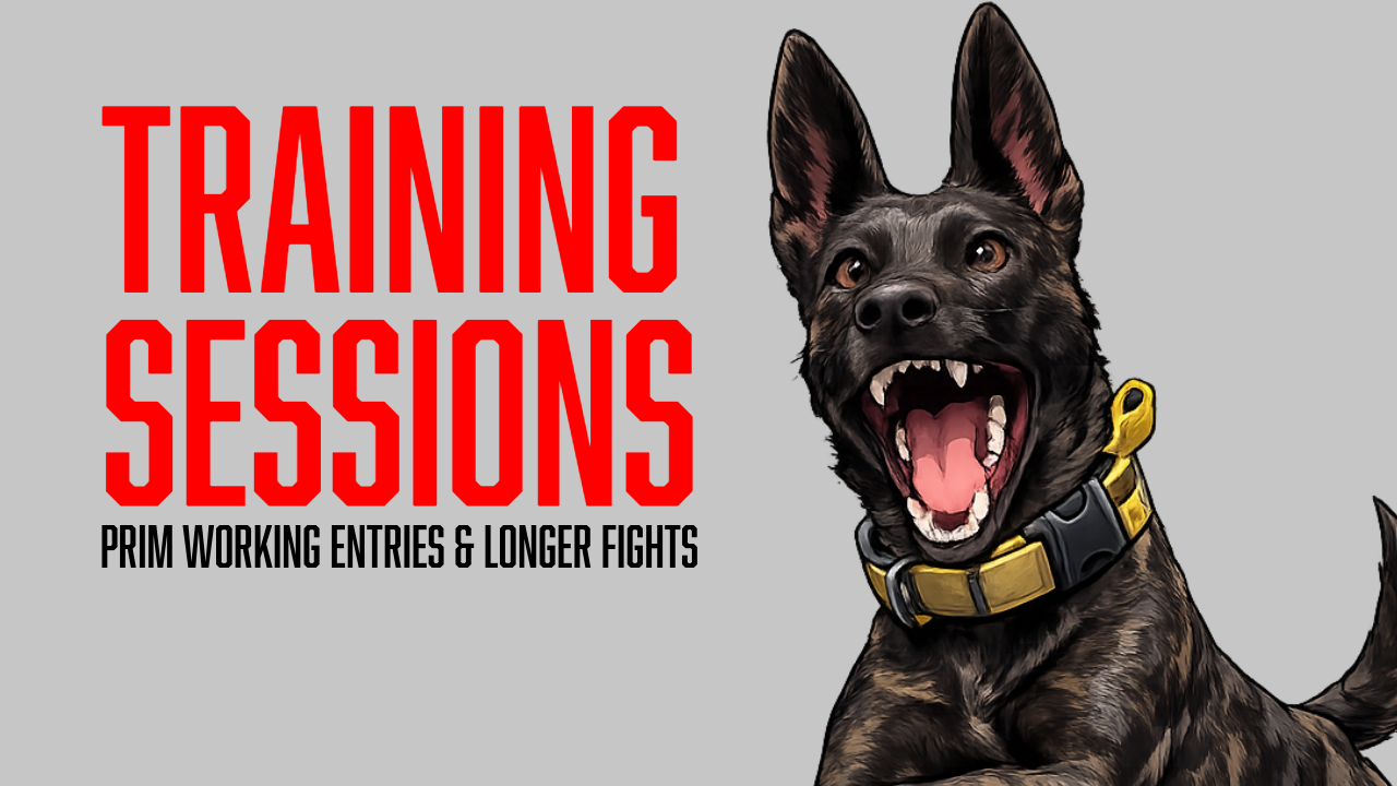 Protection Dog Training: Building Harder Entries, Better Bite Conditioning, and Stronger Sends with Prim