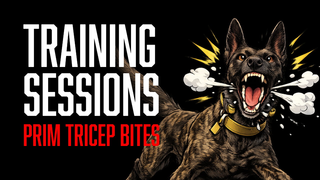 Protection Dog Training: Building More Powerful Bite Entries with Prim