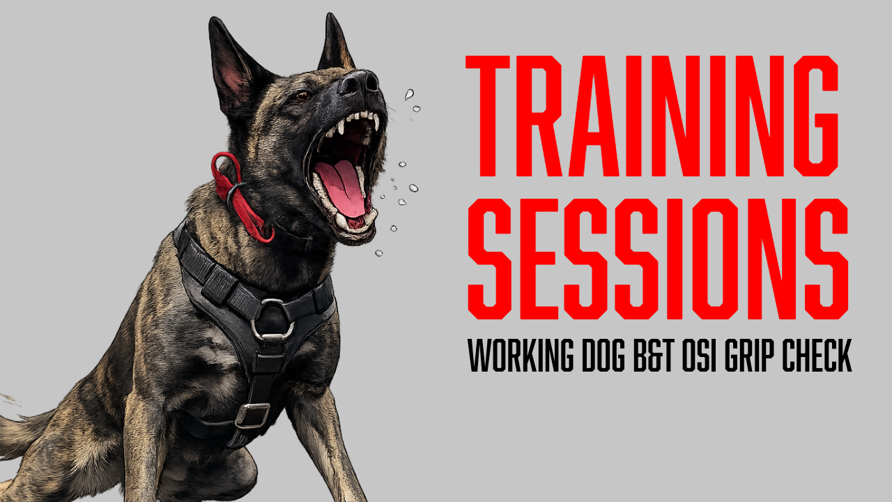 Working Dog Training: Evaluating Grip, Drive, Aggression, and Nerves with Osi