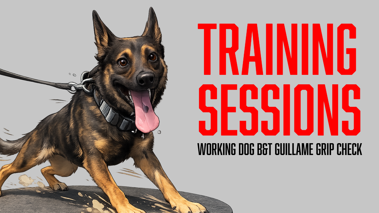 Working Dog Training: Evaluating Grip, Drive, and Nerves with Guillaume
