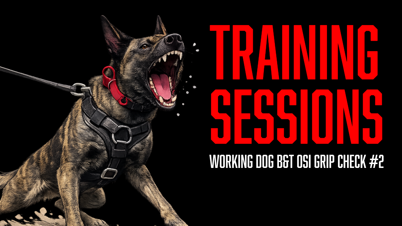 Working Dog Training: Why We Evaluate Dogs in Different Training Environments