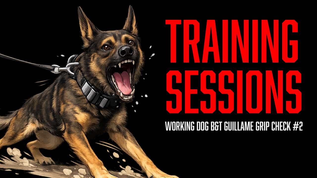 Working Dog Training: Why a Second Grip Evaluation Matters with Guillaume