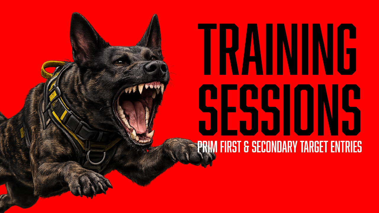 Protection Dog Training: Teaching Primary and Secondary Targeting with Prim