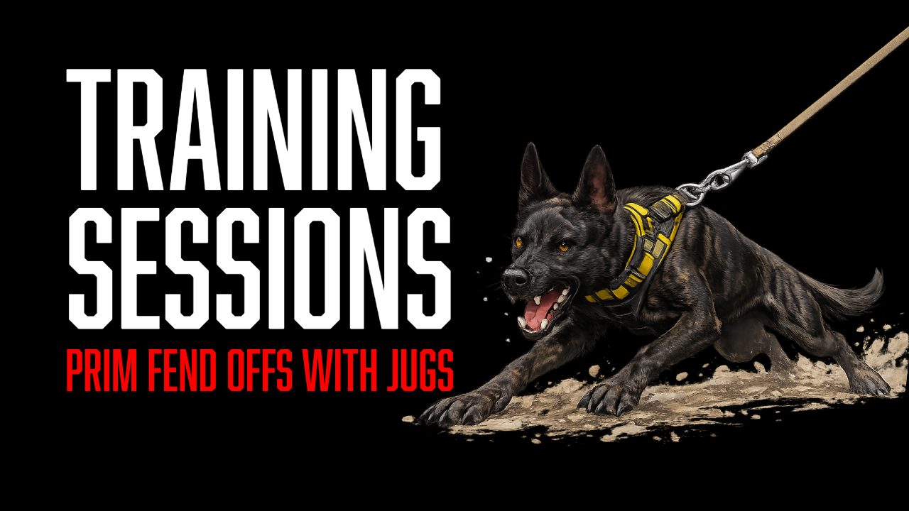 Protection Dog Training: Building Secondary Targeting Through Environmental Pressure with Prim