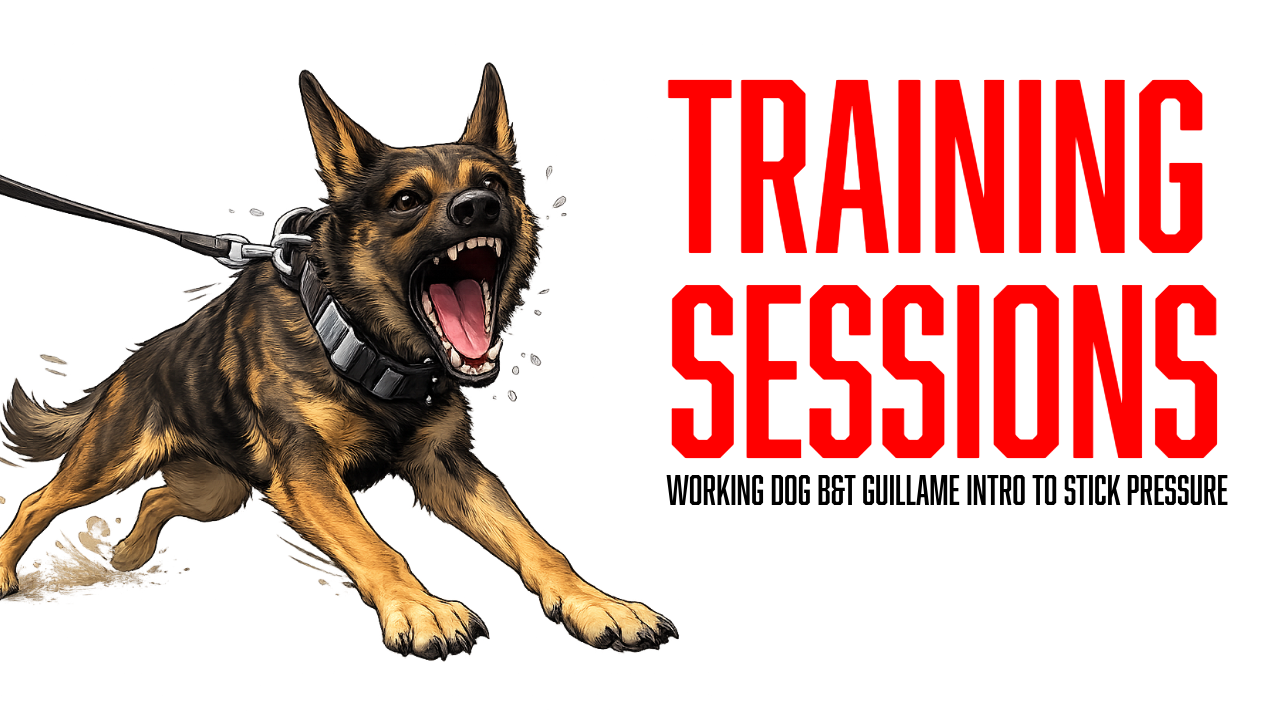 Working Dog Training: Building Confidence and Grip Development with Guillaume