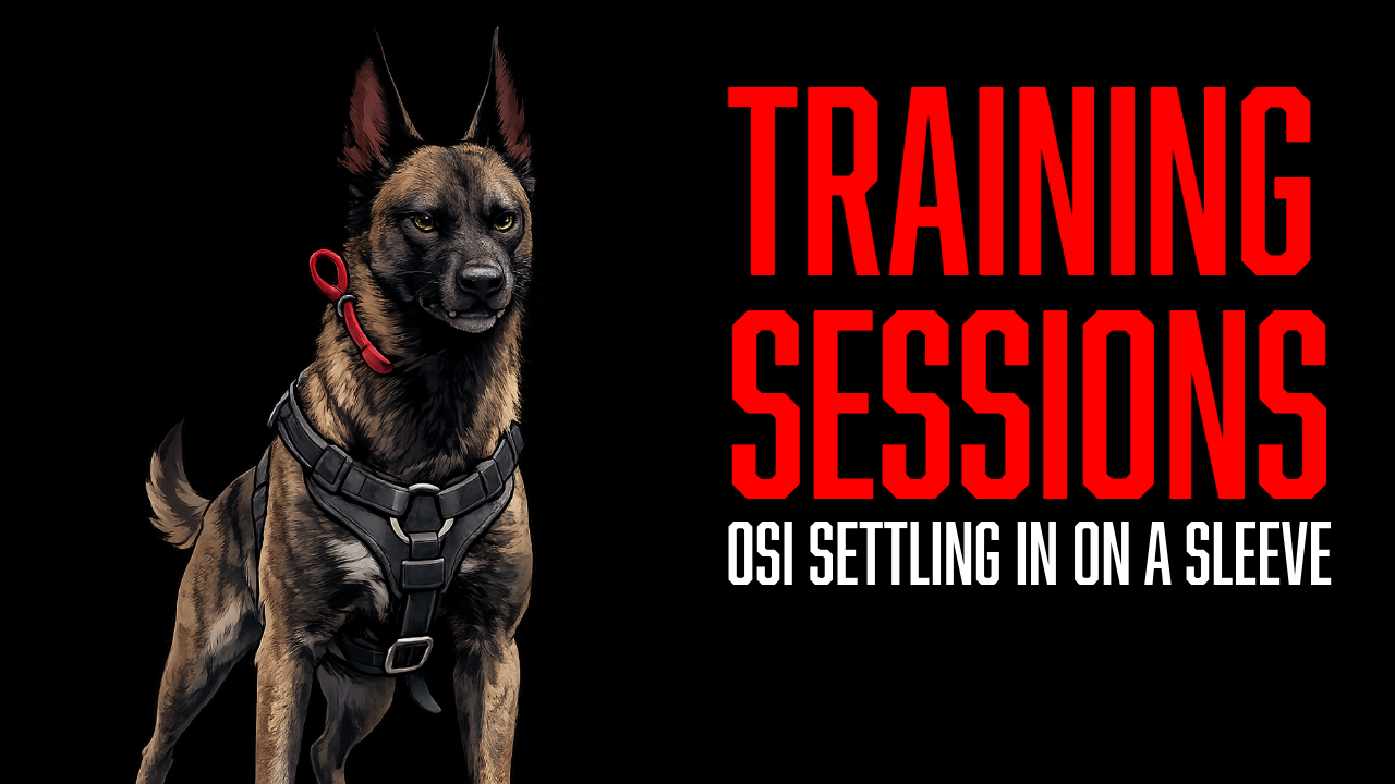 Building Confidence Through Bite Work: Osi's Continued Progress with the Clatter Stick