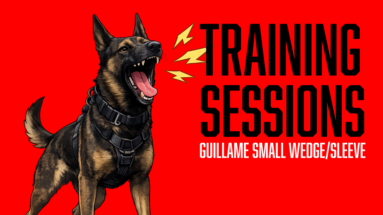Building Bite Confidence with Guillame: Developing Targeting, Grip, and Environmental Stability
