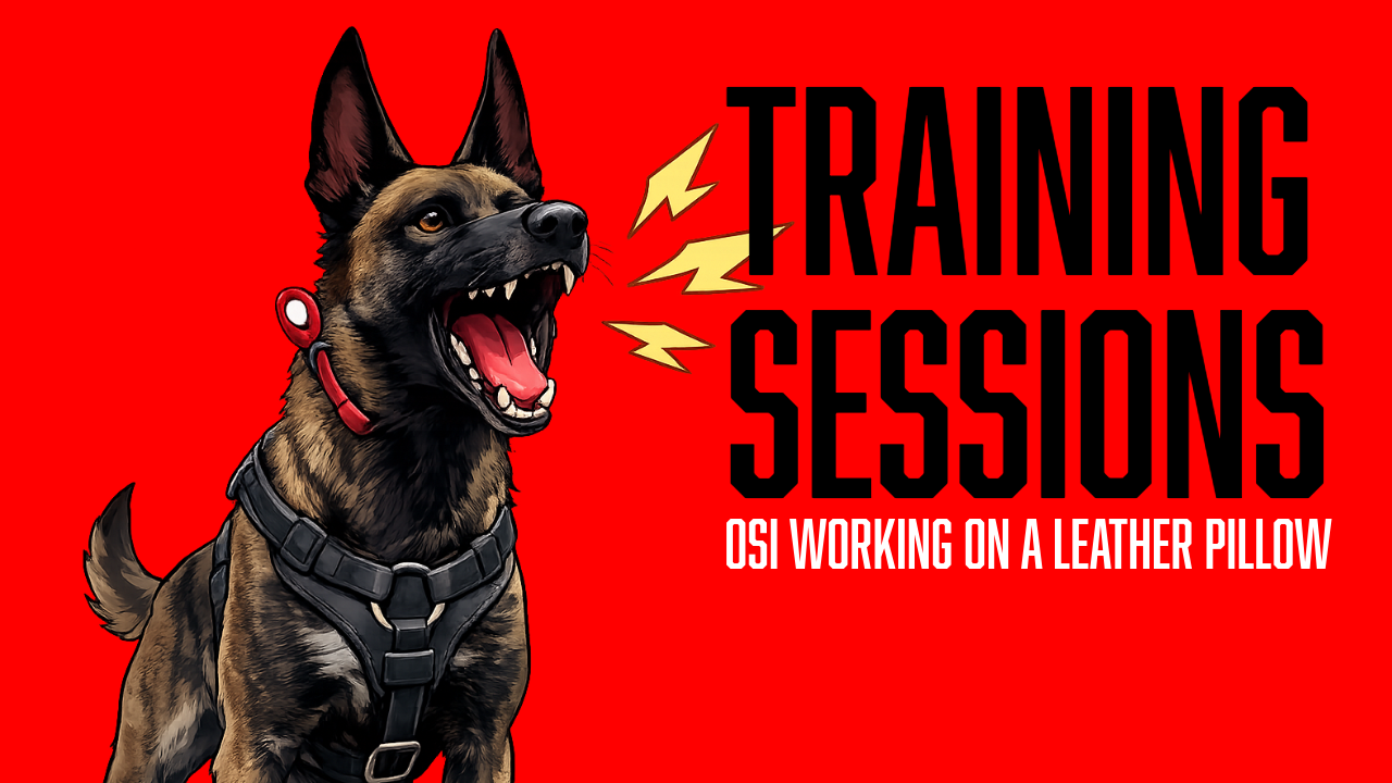Building Stronger Grips with a Leather Bite Pillow: Osi's Protection Dog Training Progress